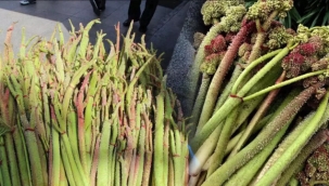 Işkın otu nedir, nasıl tüketilir?