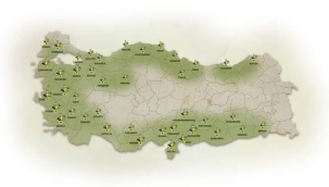 ZEYTİN YETİŞTİRİLEBİLEN İLLERİMİZ