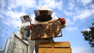 Bingöl Balı, Avrupa Birliği'nin tescillediği ilk bal oldu