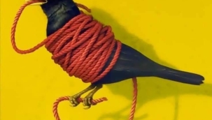 AKLI KULLANMADIKÇA ÇIKIŞ YOK! 