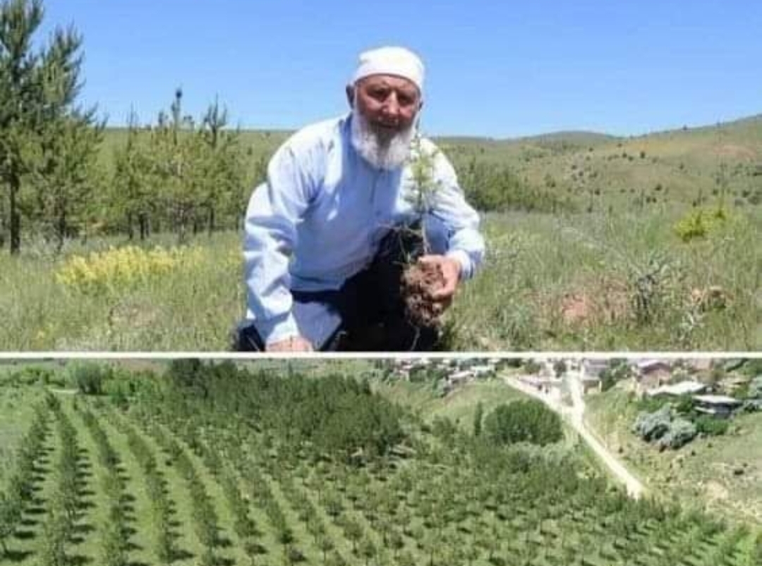 HEDEF OSMANLI TOPRAK DÜZENİ