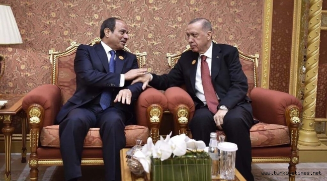 ŞİNASİ KARA YAZDI: SİSİ ZİYARETİ VE REALPOLİTİK