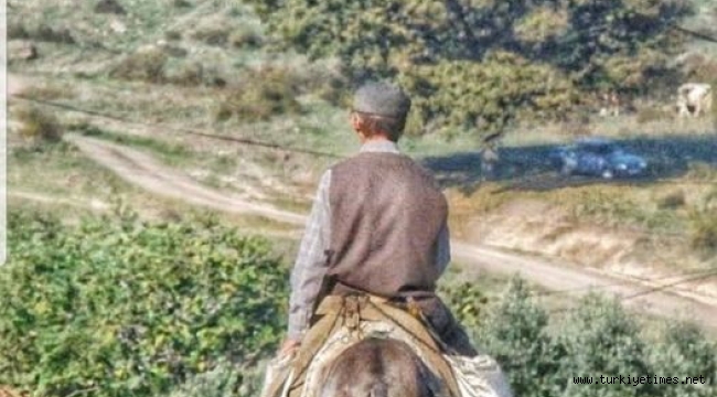 BİR YOL VE BİR YÖRÜK HİKAYESİ...