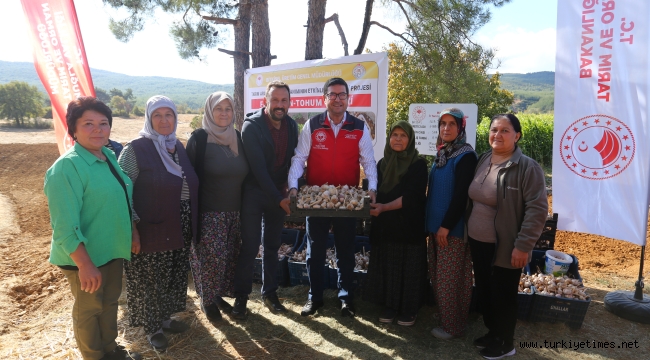 ULA SARIMSAĞINDA İMECE USULÜ 'ÜRETİM' MODELİ