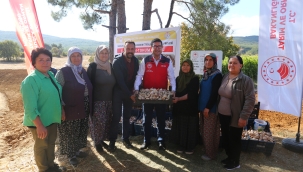 ULA SARIMSAĞINDA İMECE USULÜ 'ÜRETİM' MODELİ