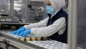 Yörsan'ın Muhteşem Dönüşü: 6 Ülkeye İhracatla Küresel Pazara Giriş! 