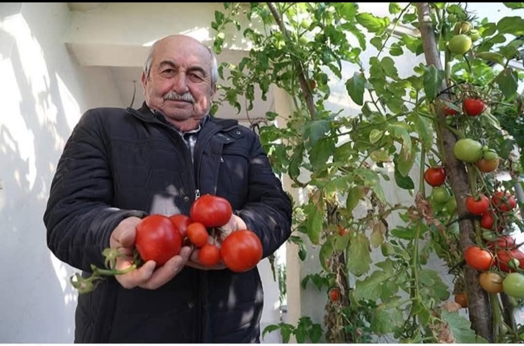 ÖRNEK OLABİLECEK BİR PROJE