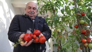 ÖRNEK OLABİLECEK BİR PROJE 