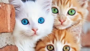 Tebessüm iyi gelir.. 