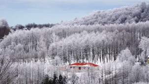Ufuk Yurttaş yazdı : Karın Bereketini Anlamak ! 