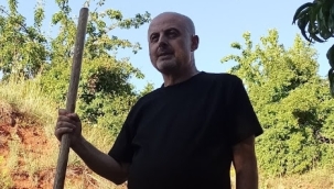 Tarımda kooperatifleşme neden önemli? 