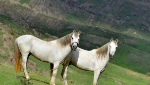  BUNLARI BİLİYOR MUYDUNUZ 