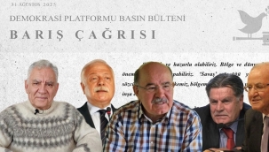 Demokrasi Platformu'ndan iki dilde "Barış Çağrısı"