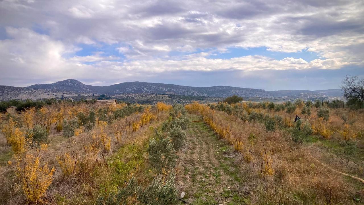 5 yıl önce “doğal yaşama dönülmez” dediler