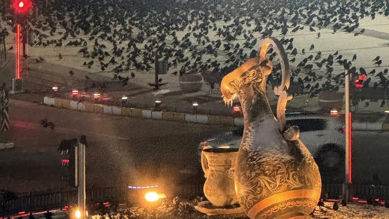 Akşam saatlerinde dikkat! Erzincan’da kargalar sokakları sardı