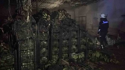 Alanya’da muz sarartma tesisinde yangın: Tonlarca muz zarar gördü