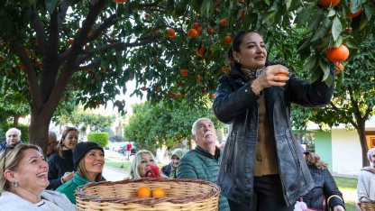 Antalya’nın turunçları Korkuteli’nden sofralara uzanıyor