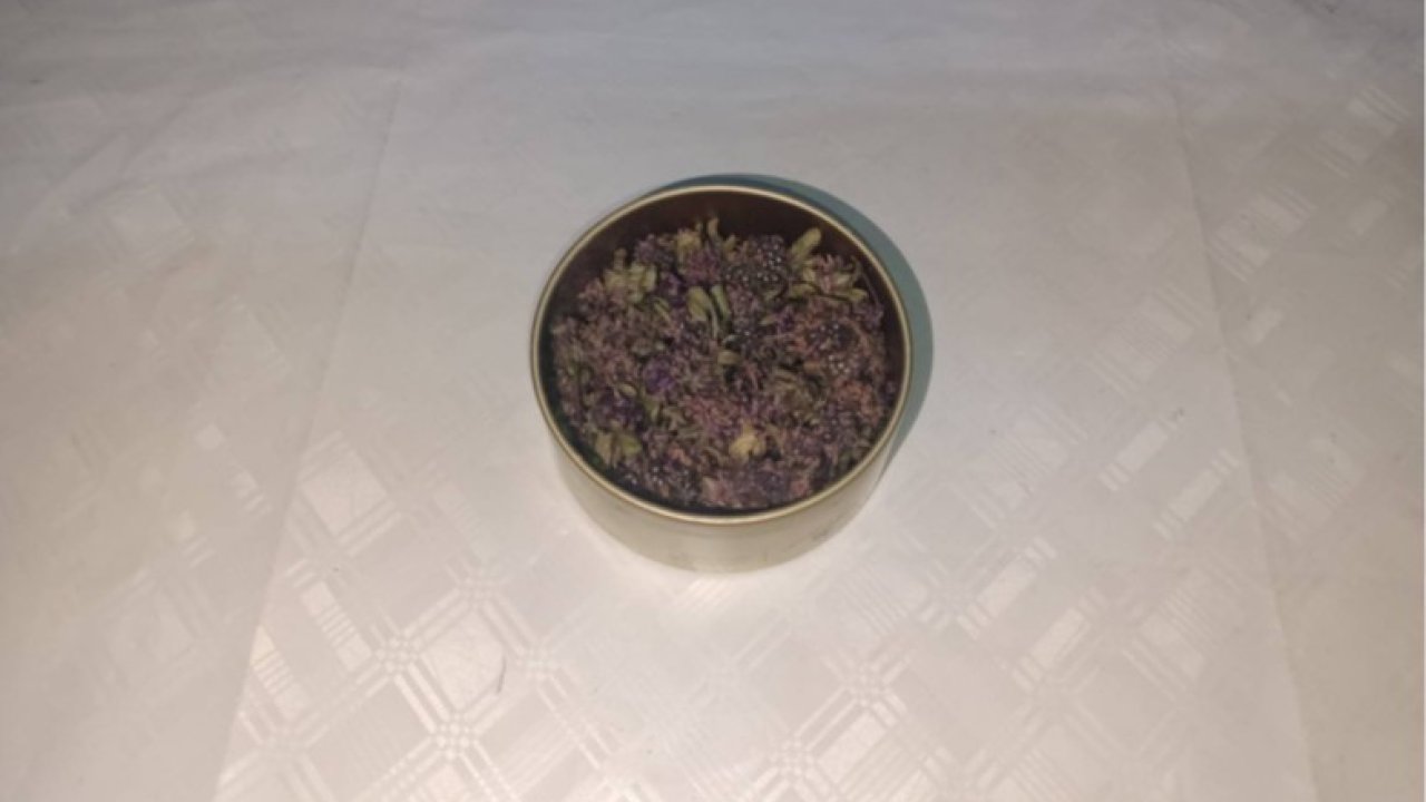 Artvin’de endemik yayla çayı çiçeği kaçakçılığına Jandarma engeli