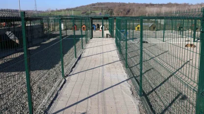 BARÜ’de kampüsteki hayvanlar için yaşam merkezi oluşturuldu