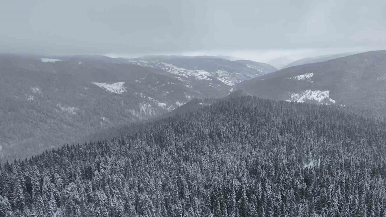 Beyaza bürünen Ilgaz Dağı havadan görüntülendi