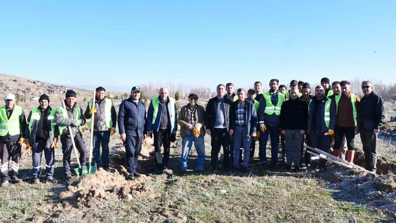 Beylikova Belediyesi bin adet karaçam fidanı dikti