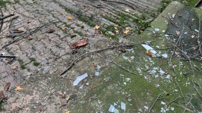 Beyoğlu’nda ağacın kırılan dalları binanın üzerine düştü