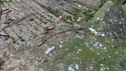 Beyoğlu’nda ağacın kırılan dalları binanın üzerine düştü