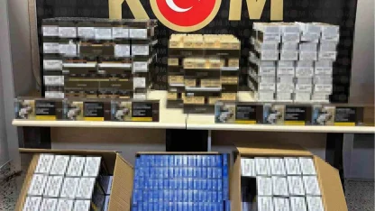 Bilecik’te kaçakçılığa darbe: Binlerce makaron ve tütün ele geçirildi