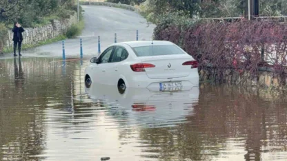 Bodrum’da sel sonrası yaralar sarılıyor