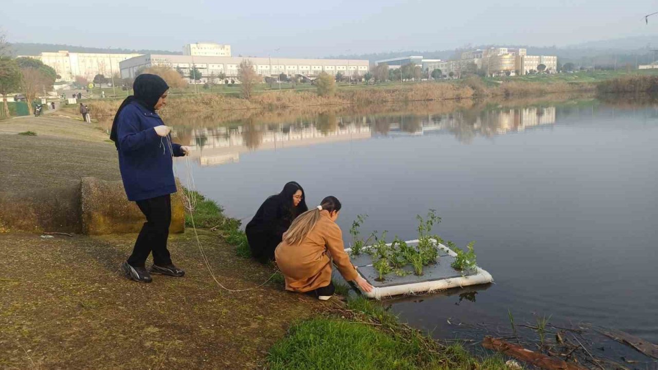 Botanik Bahçesinde "Yüzen Adacıklarla Gölet Temizliği" yapılıyor