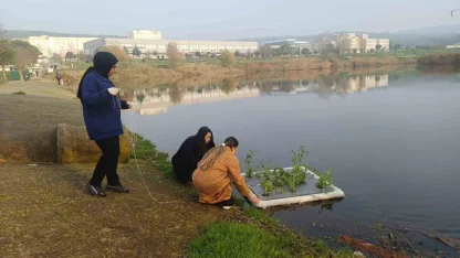 Botanik Bahçesinde "Yüzen Adacıklarla Gölet Temizliği" yapılıyor