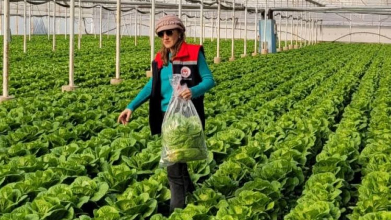 Buharkent’te sağlıklı gıda için pestisit denetimi