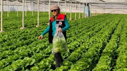 Buharkent’te sağlıklı gıda için pestisit denetimi