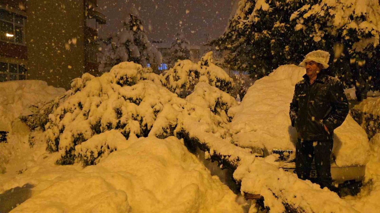 Çam ağacı park halindeki iki aracın üzerine devrildi