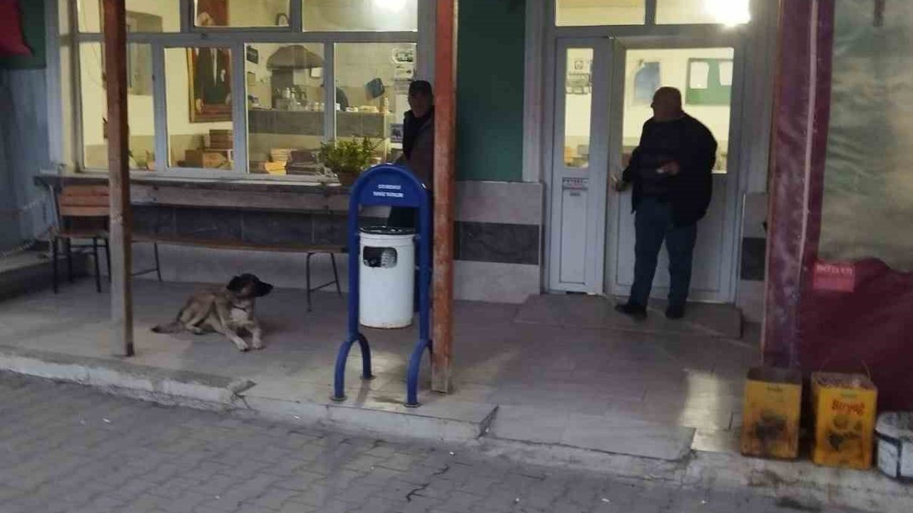 Çanakkale’deki köy kahve ihamesinde inatlaşma: Kira 126 bin TL’yi görünce yeniden ihaleye çıkılacak