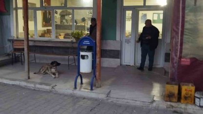 Çanakkale’deki köy kahve ihamesinde inatlaşma: Kira 126 bin TL’yi görünce yeniden ihaleye çıkılacak