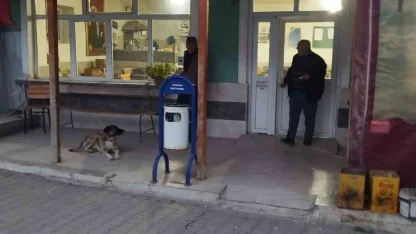 Çanakkale’deki köy kahve ihamesinde inatlaşma: Kira 126 bin TL’yi görünce yeniden ihaleye çıkılacak