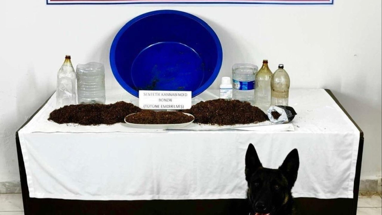 Çankırı’da uyuşturucu operasyonu: 1 gözaltı