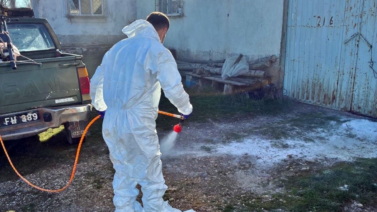 Çavdarhisar’da hayvan işletmelerinde salgın hastalıklara karşı dezenfeksiyon