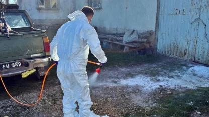 Çavdarhisar’da hayvan işletmelerinde salgın hastalıklara karşı dezenfeksiyon