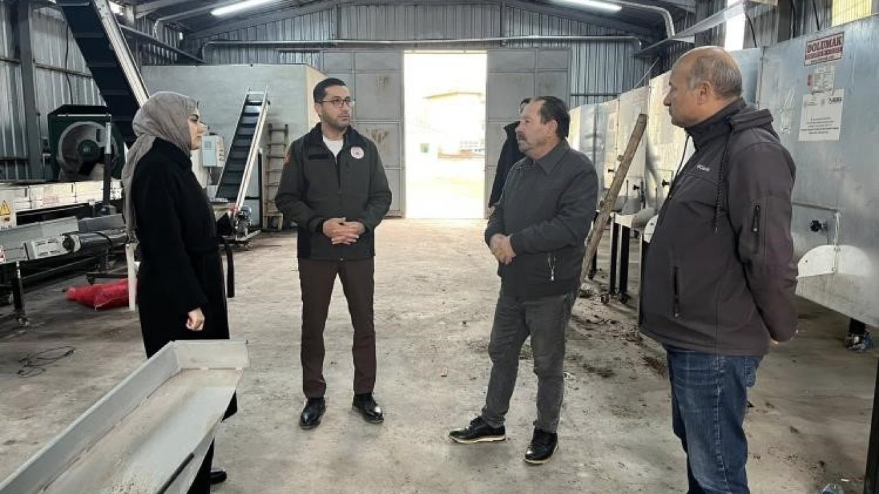 Ceviziyle öne çıkan Gölpazarı’nda üretim zinciri güçleniyor