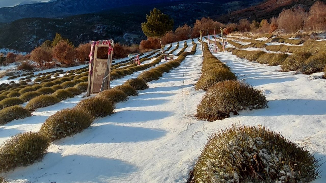Derebucak’ta mor bahçeler beyaza büründü, barajlara su geldi