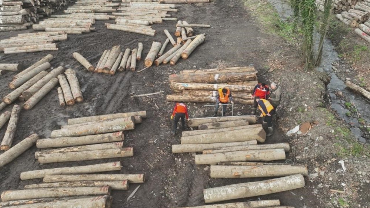 Düzce’den 22 bin 310,95 ton orman ürünü ihraç edildi