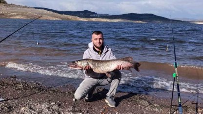 (Düzeltme) Sındırgı’da dev turna balığı yakalandı