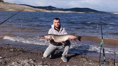 (Düzeltme) Sındırgı’da dev turna balığı yakalandı