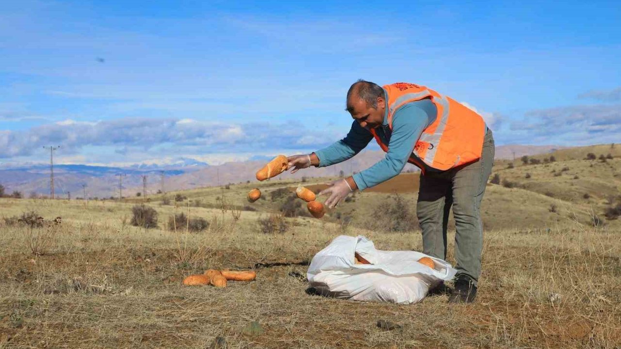 Elaızığ’da doğaya yem bırakıldı