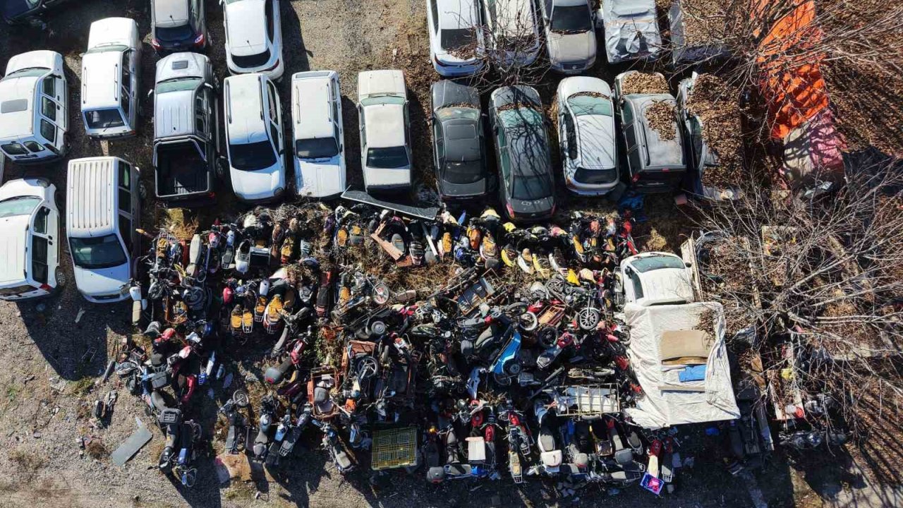 Elazığ’da yediemin otoparkında yosun tutan araçlar: 500 milyon TL’lik servet çürüyor