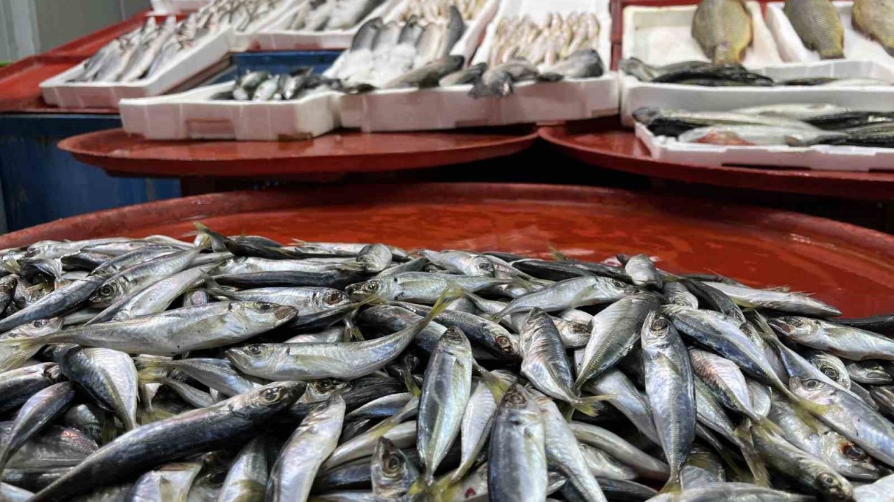 Geciken kış Konya’da balığı da vurdu