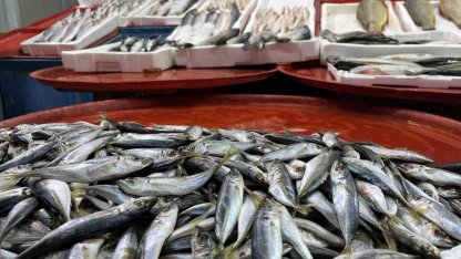 Geciken kış Konya’da balığı da vurdu