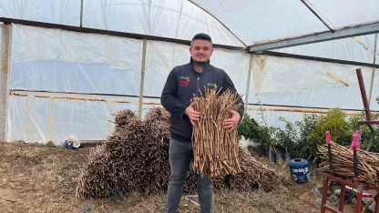 Genç kardeşlerden Sarıgöl ekonomisine 700 bin fidan hamlesi